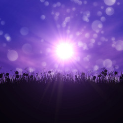 Similar image 2644471