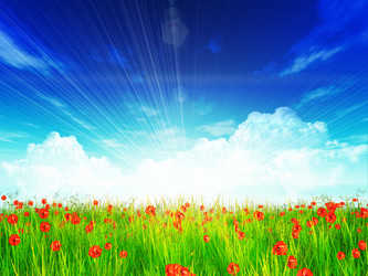 Similar image 2644473