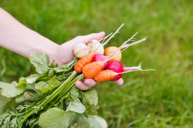 Similar image 2645098