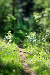 Similar image 2645171