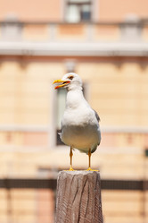 Similar image 2645179