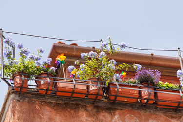 Similar image 2645181