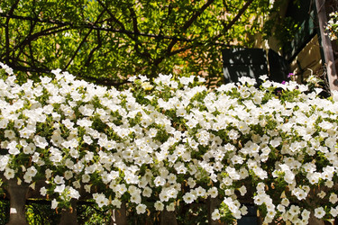 Similar image 2645205