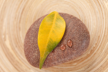 Similar image 2645328