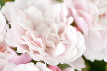 Similar image 2645347