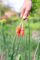 Similar image 2645352