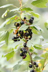 Similar image 2645362