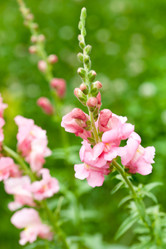 Similar image 2645366