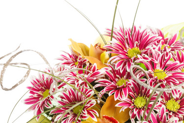 Similar image 2645518