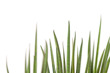 Similar image 2645521