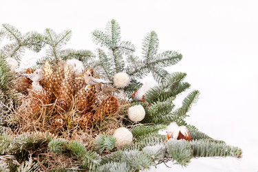 Similar image 2645525