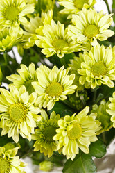 Similar image 2645529