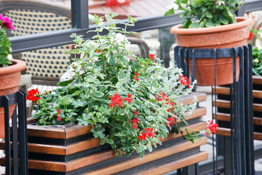 Similar image 2645594