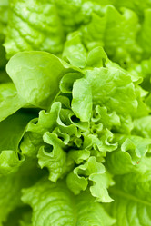 Similar image 2645599