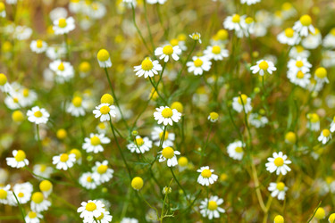 Similar image 2645601