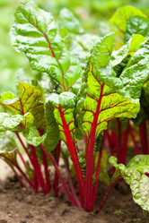 Similar image 2645637