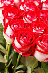 Similar image 2645649