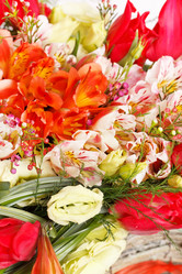 Similar image 2645654