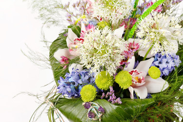 Similar image 2645665