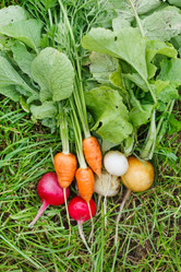 Similar image 2645674