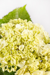 Similar image 2645680