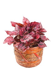 Similar image 2645690