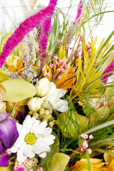 Similar image 2645760