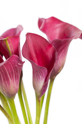 Similar image 2645765