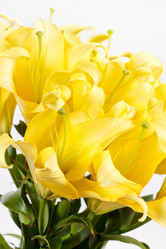 Similar image 2645772