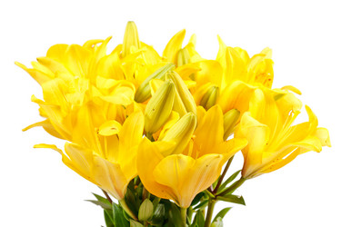 Similar image 2645774