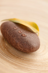 Similar image 2645784