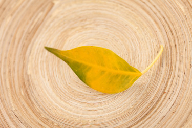 Similar image 2645786