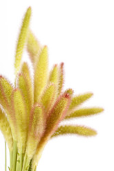 Similar image 2645789