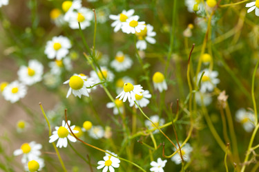 Similar image 2645913