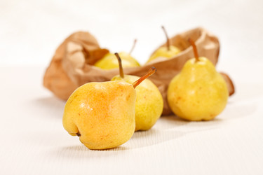 Similar image 2646007