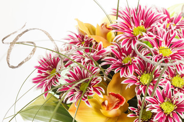 Similar image 2646010