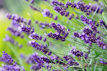 Similar image 2646020