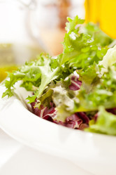 Similar image 2646026