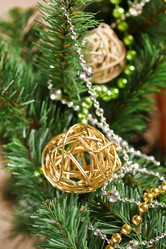 Similar image 2646029