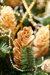 Similar image 2646038