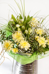 Similar image 2646045