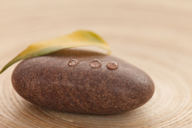 Similar image 2646127