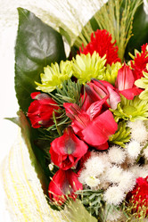 Similar image 2646132