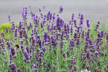 Similar image 2646197