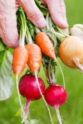 Similar image 2646582