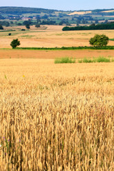 Similar image 2646598