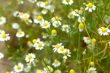 Similar image 2646616