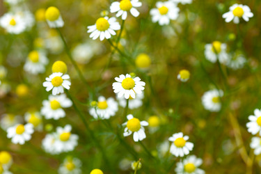 Similar image 2646865