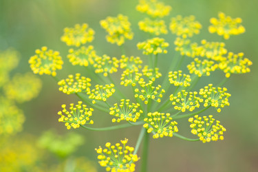 Similar image 2646872