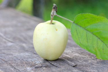 Similar image 2646880